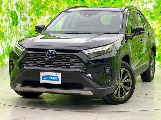 RAV42.5 ハイブリッド G E-Four 4WD