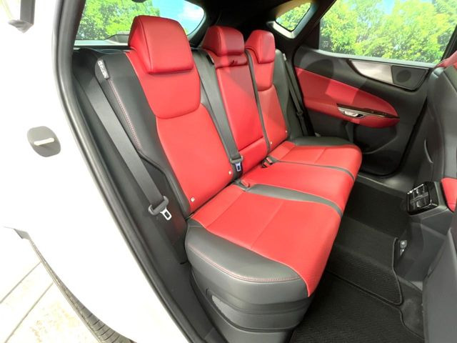 �㕔���Ȃ��C�ɂȂ�悤�ȃL�Y�E�����ւ��蓙�A�傫�ȃ_���[�W�͂Ȃ��A�ǍD�ȏ�Ԃł��B