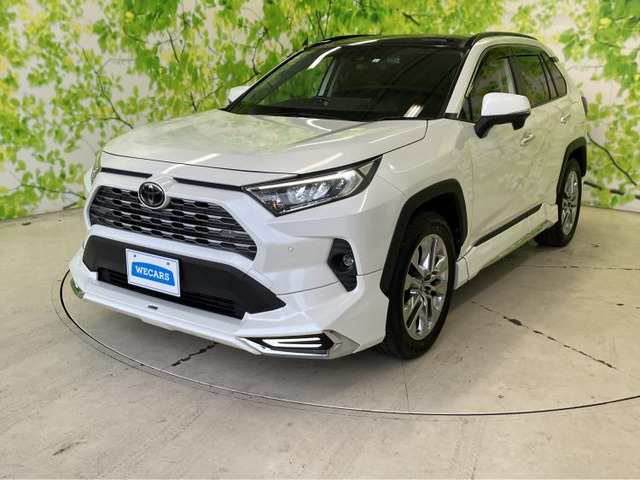 RAV42.0 G Zパッケージ 4WD