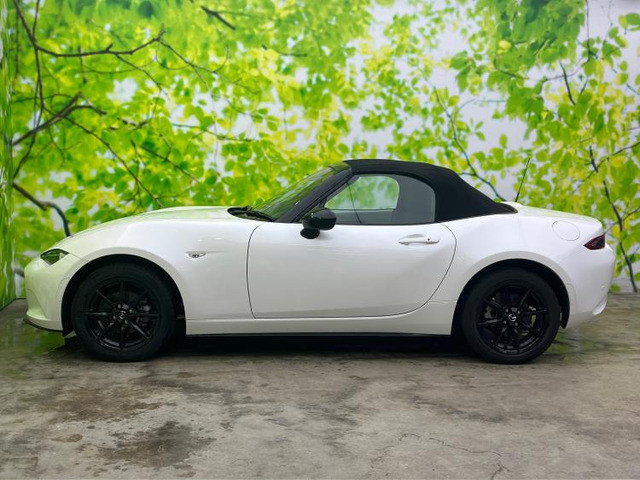 ロードスター1.5 S スペシャルパッケージ