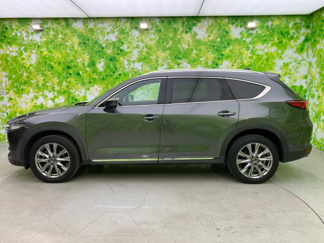 CX-82.5 25S プロアクティブ