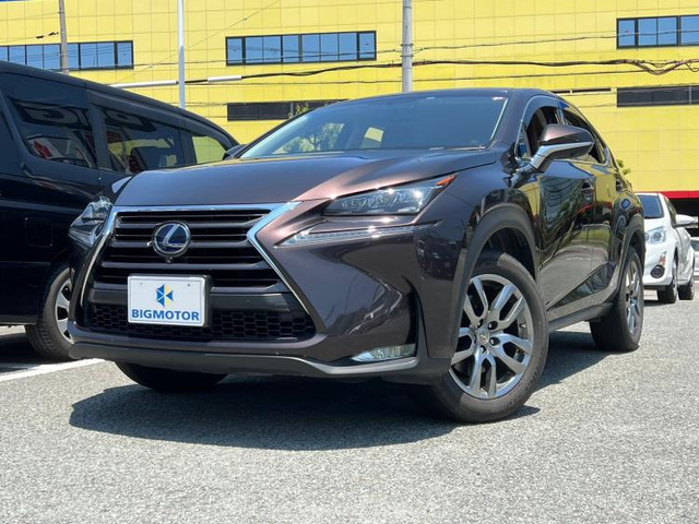 NX300h Iパッケージ