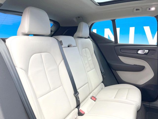 ���㕔���Ȃ��C�ɂȂ�悤�ȃL�Y�E�����ւ��蓙�A�傫�ȃ_���[�W�͂Ȃ��A�ǍD�ȏ�Ԃł��B