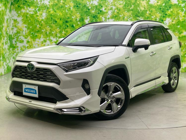 RAV42.5 ハイブリッド G E-Four 4WD