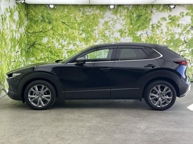 CX-301.8 XD Lパッケージ