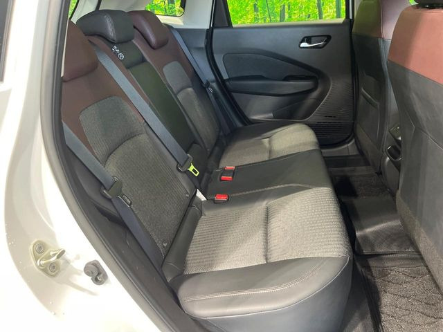 �㕔���Ȃ��C�ɂȂ�悤�ȃL�Y�E�����ւ��蓙�A�傫�ȃ_���[�W�͂Ȃ��A�ǍD�ȏ�Ԃł��B