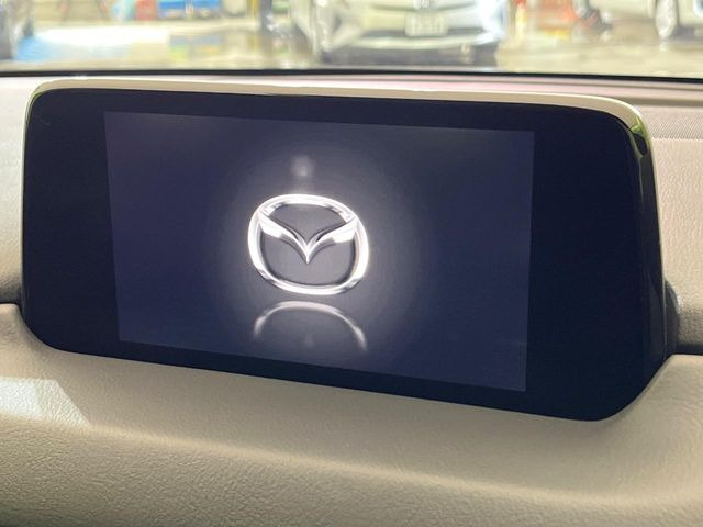 �y�}�c�_�R�l�N�g�i�r�z�ԓ��̕��͋C�Ƀ}�b�`������̌^�^�C�v�̃i�r�B�e����q�ݒ��Bluetooth�Đ����A�l�X�ȋ@�\���y���߂܂��B�����I�ȃ_�C�������삪�\�ŁA�g��������ǍD�ł��B