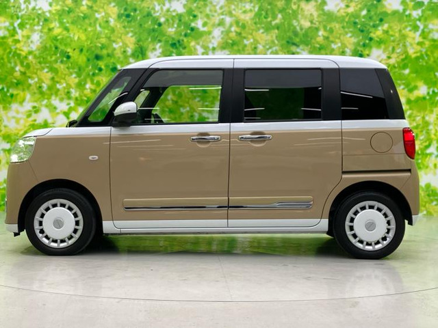 ムーヴキャンバスストライプス G