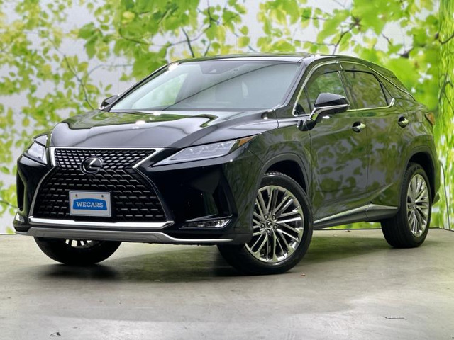 RX300 バージョンL