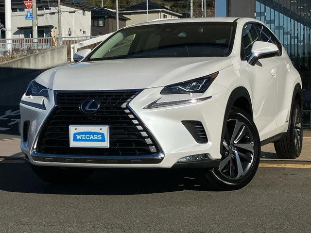 NX300h Iパッケージ