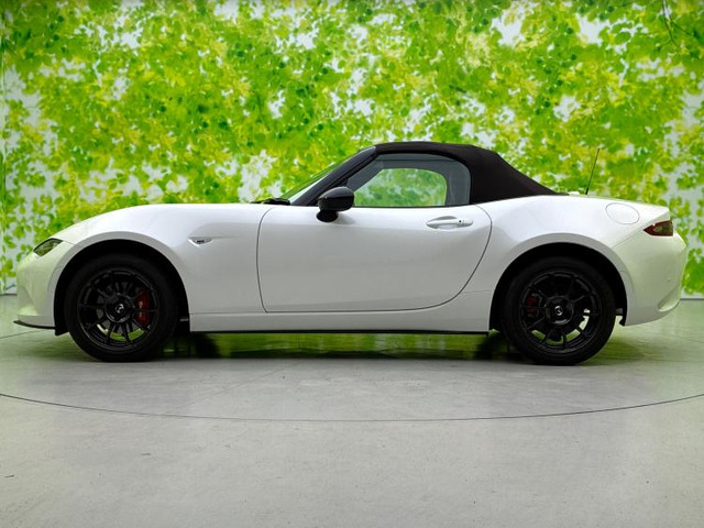 ロードスター1.5 ブラウン トップ