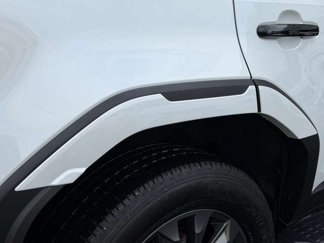 �y�I�v�V�����z���f���X�^�I�[�o�[�t�F���_�[�B