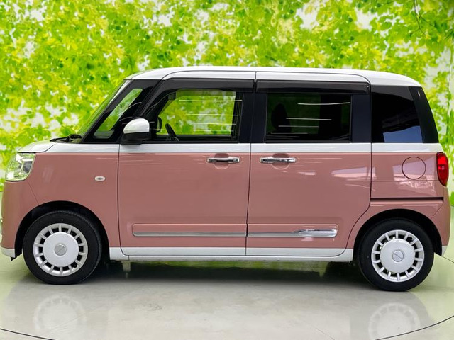 ムーヴキャンバスストライプス G