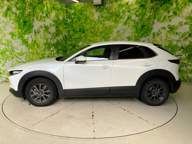 CX-302.0 20S