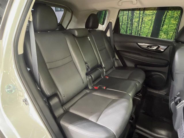 �㕔���Ȃ��C�ɂȂ�悤�ȃL�Y�E�����ւ��蓙�A�傫�ȃ_���[�W�͂Ȃ��A�ǍD�ȏ�Ԃł��B