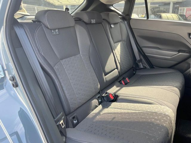 �㕔���Ȃ��C�ɂȂ�悤�ȃL�Y�E�����ւ��蓙�A�傫�ȃ_���[�W�͂Ȃ��A�ǍD�ȏ�Ԃł��B