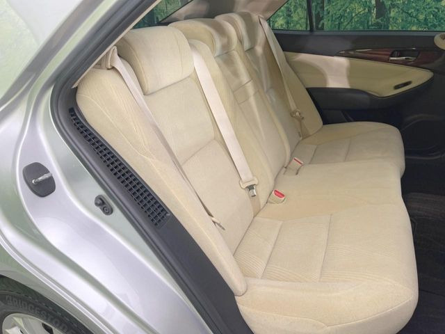 �㕔���Ȃ��C�ɂȂ�悤�ȃL�Y�E�����ւ��蓙�A�傫�ȃ_���[�W�͂Ȃ��A�ǍD�ȏ�Ԃł��B