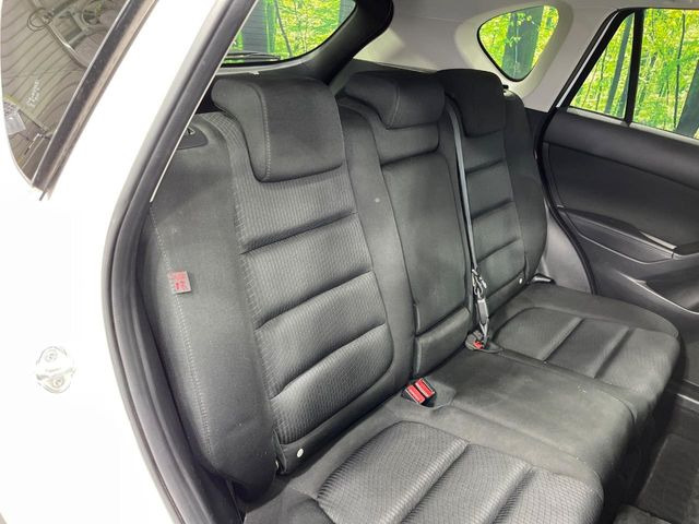 �㕔���Ȃ��C�ɂȂ�悤�ȃL�Y�E�����ւ��蓙�A�傫�ȃ_���[�W�͂Ȃ��A�ǍD�ȏ�Ԃł��B