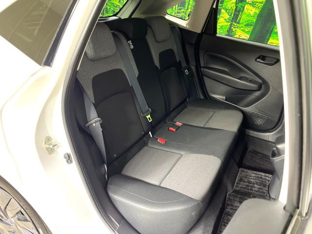 �㕔���Ȃ��C�ɂȂ�悤�ȃL�Y�E�����ւ��蓙�A�傫�ȃ_���[�W�͂Ȃ��A�ǍD�ȏ�Ԃł��B