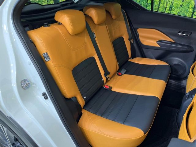 �㕔���Ȃ��C�ɂȂ�悤�ȃL�Y�E�����ւ��蓙�A�傫�ȃ_���[�W�͂Ȃ��A�ǍD�ȏ�Ԃł��B