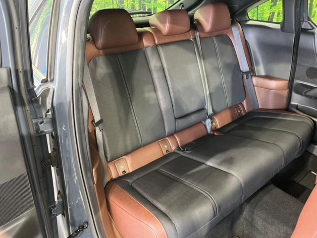 �㕔���Ȃ��C�ɂȂ�悤�ȃL�Y�E�����ւ��蓙�A�傫�ȃ_���[�W�͂Ȃ��A�ǍD�ȏ�Ԃł��B