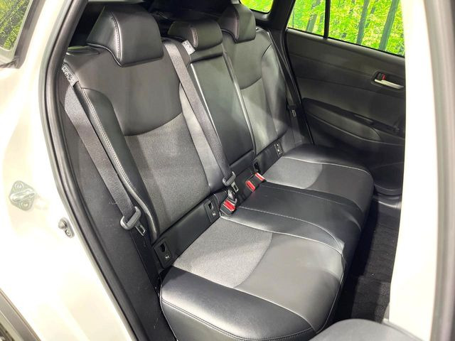 �㕔���Ȃ��C�ɂȂ�悤�ȃL�Y�E�����ւ��蓙�A�傫�ȃ_���[�W�͂Ȃ��A�ǍD�ȏ�Ԃł��B