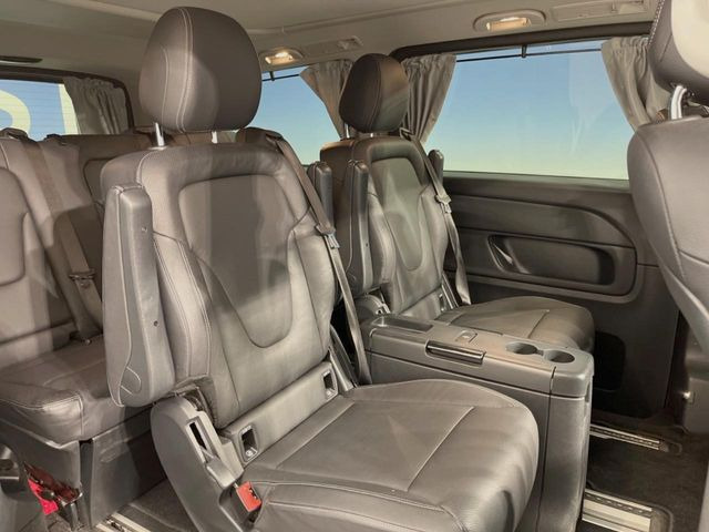 ���㕔���Ȃ��C�ɂȂ�悤�ȃL�Y�E�����ւ��蓙�A�傫�ȃ_���[�W�͂Ȃ��A�ǍD�ȏ�Ԃł��B