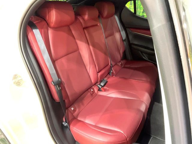 �㕔���Ȃ��C�ɂȂ�悤�ȃL�Y�E�����ւ��蓙�A�傫�ȃ_���[�W�͂Ȃ��A�ǍD�ȏ�Ԃł��B