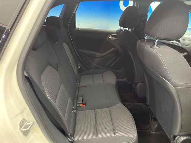 ���㕔���Ȃ��C�ɂȂ�悤�ȃL�Y�E�����ւ��蓙�A�傫�ȃ_���[�W�͂Ȃ��A�ǍD�ȏ�Ԃł��B