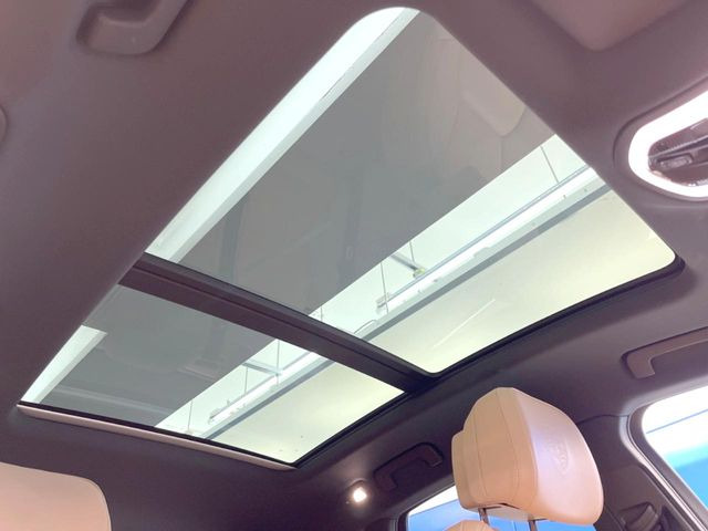 ���p�m���}�~�b�N�K���X���[�t:�唗�͂̃p�m���}���[�t�́A�㕔���Ȃɂ܂ő����Ă���A�J���I�ȋ�Ԃ����y���݂��������܂��B