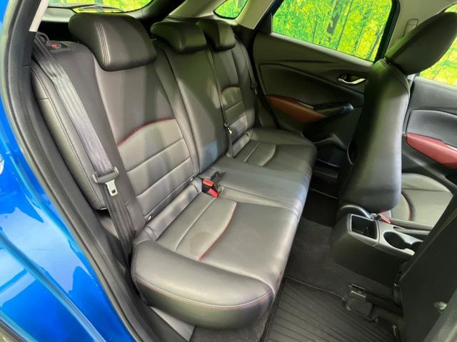 �㕔���Ȃ��C�ɂȂ�悤�ȃL�Y�E�����ւ��蓙�A�傫�ȃ_���[�W�͂Ȃ��A�ǍD�ȏ�Ԃł��B