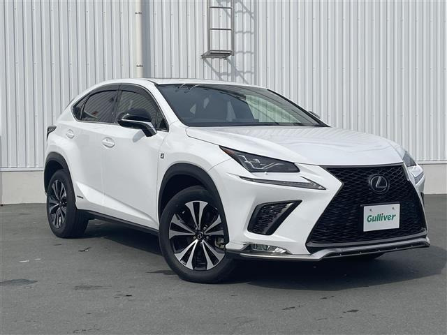 NX300h Fスポーツ