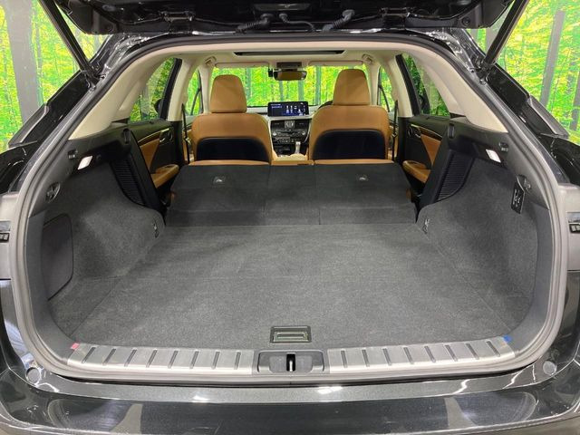 ���N���[���ȏ�Ԃ��L�[�v���������q�l�ɂ́w�i�m�]�[���R�[�g�x����������!�R���i�E�C���X�΍��A���ہE���L�Ɍ��ʂ𔭊��������̕��ɂ��D�]���������Ă���܂��B