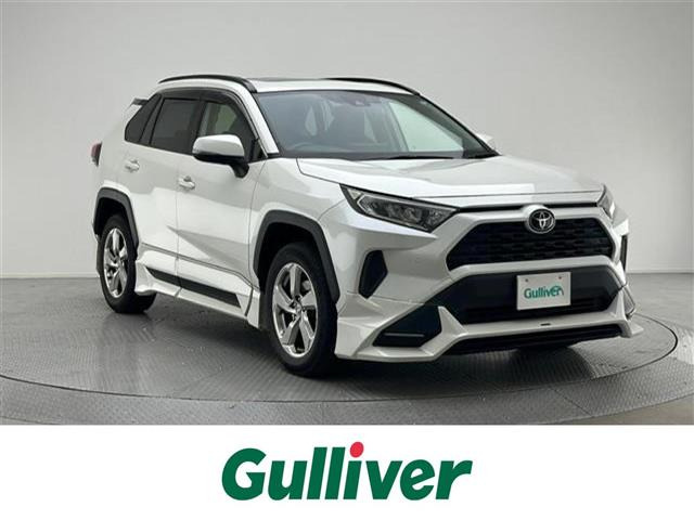 RAV42.0 X
