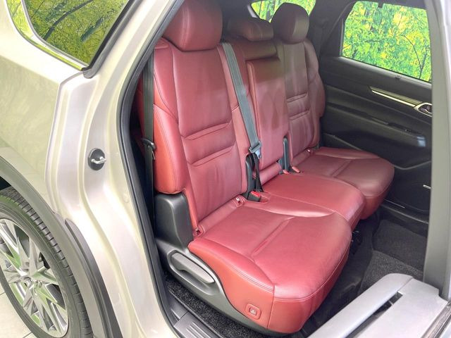 �㕔���Ȃ��C�ɂȂ�悤�ȃL�Y�E�����ւ��蓙�A�傫�ȃ_���[�W�͂Ȃ��A�ǍD�ȏ�Ԃł��B