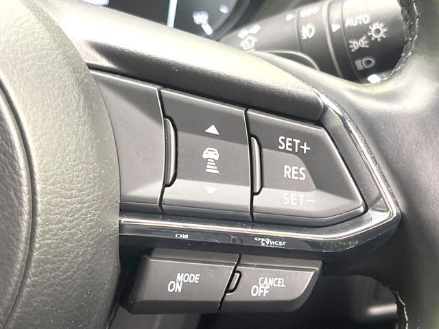 �y�}�c�_�E���[�_�[�N���[�Y�R���g���[���z�������H�ł̒��������s���y��!�����ő��x��ۂN���[�Y�R���g���[�����A�Փˌy���V�X�e���ƘA�g���A�O���̎ԗ������m���ĎԊԂ�ۂ悤�ɑ��x���߂��Ă���܂�!!