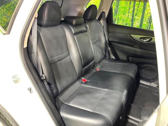 �㕔���Ȃ��C�ɂȂ�悤�ȃL�Y�E�����ւ��蓙�A�傫�ȃ_���[�W�͂Ȃ��A�ǍD�ȏ�Ԃł��B