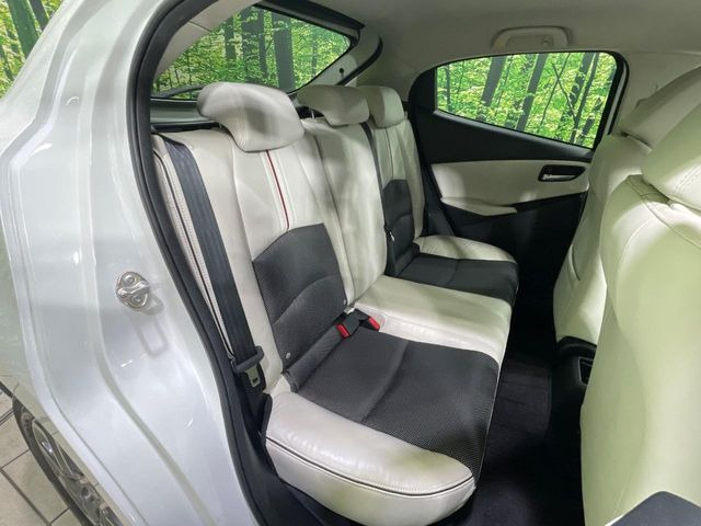 �㕔���Ȃ��C�ɂȂ�悤�ȃL�Y�E�����ւ��蓙�A�傫�ȃ_���[�W�͂Ȃ��A�ǍD�ȏ�Ԃł��B