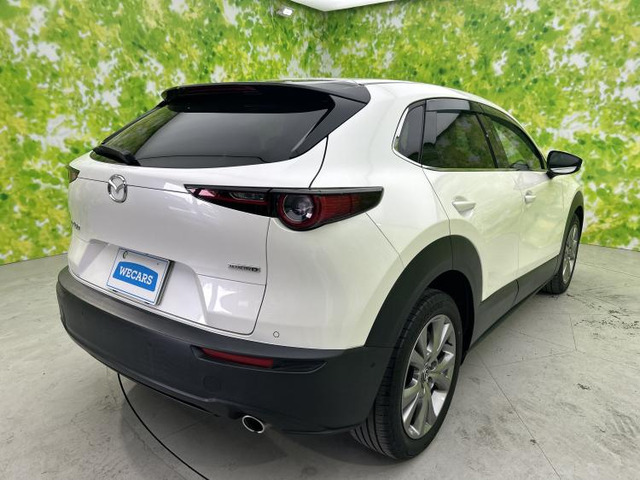 CX-301.8 XD Lパッケージ