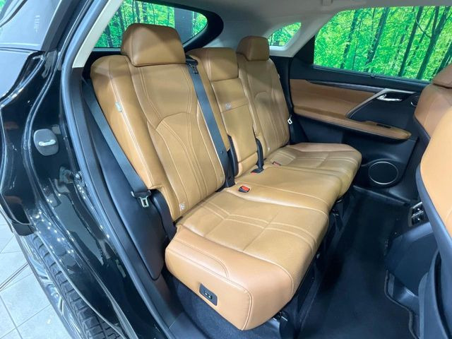 �㕔���Ȃ��C�ɂȂ�悤�ȃL�Y�E�����ւ��蓙�A�傫�ȃ_���[�W�͂Ȃ��A�ǍD�ȏ�Ԃł��B