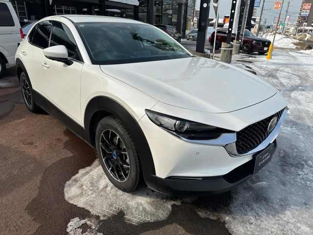 CX-302.0 X プロアクティブ ツーリングセレクション 4WD
