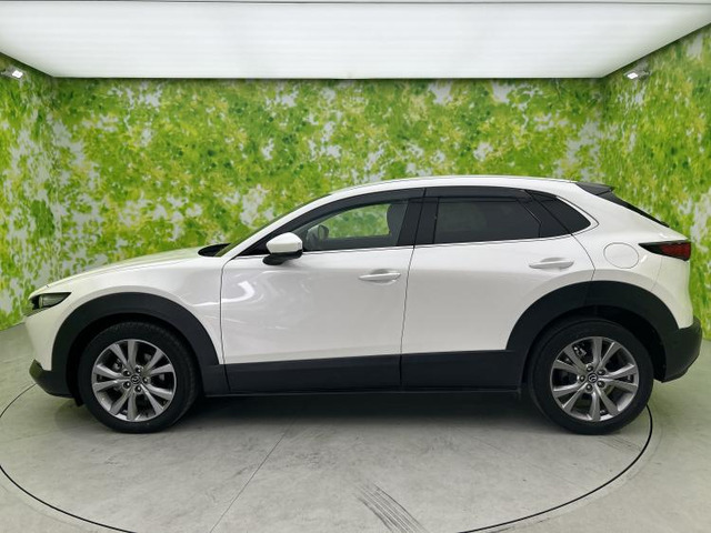 CX-301.8 XD Lパッケージ