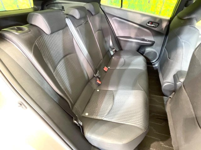 �㕔���Ȃ��C�ɂȂ�悤�ȃL�Y�E�����ւ��蓙�A�傫�ȃ_���[�W�͂Ȃ��A�ǍD�ȏ�Ԃł��B