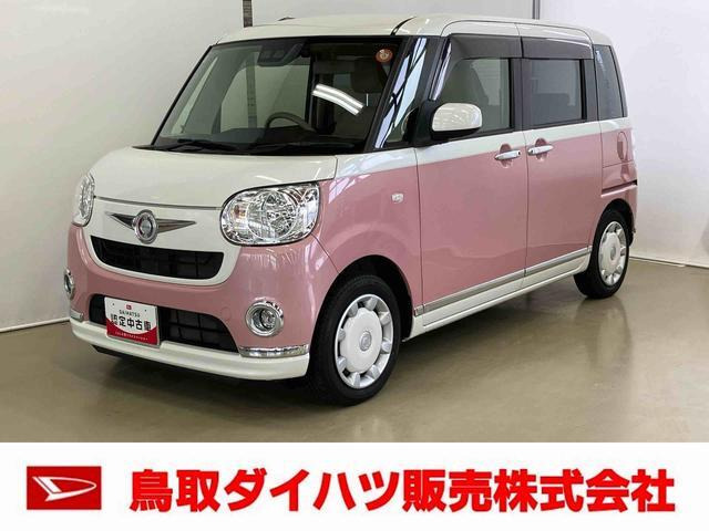 ムーヴキャンバスX リミテッド メイクアップ SAIII