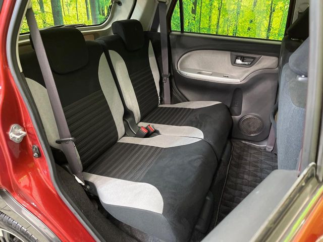 �㕔���Ȃ��C�ɂȂ�悤�ȃL�Y�E�����ւ��蓙�A�傫�ȃ_���[�W�͂Ȃ��A�ǍD�ȏ�Ԃł��B