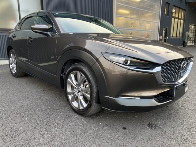 CX-302.0 20S