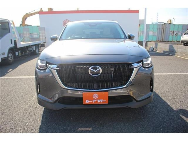 ���Ǝҗl�ւ̔̔��͂��f�肳���Ă��������܂��B �Ԍ������ԗ��̏ꍇ�́A�Ԍ����擾�������x�������z�ŕ\�����Ă���܂��B