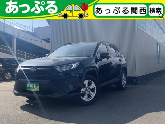 RAV42.0 X
