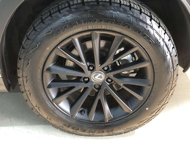 NX450hプラス オーバートレイル 4WD