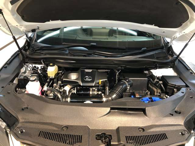 RX300 Fスポーツ 4WD